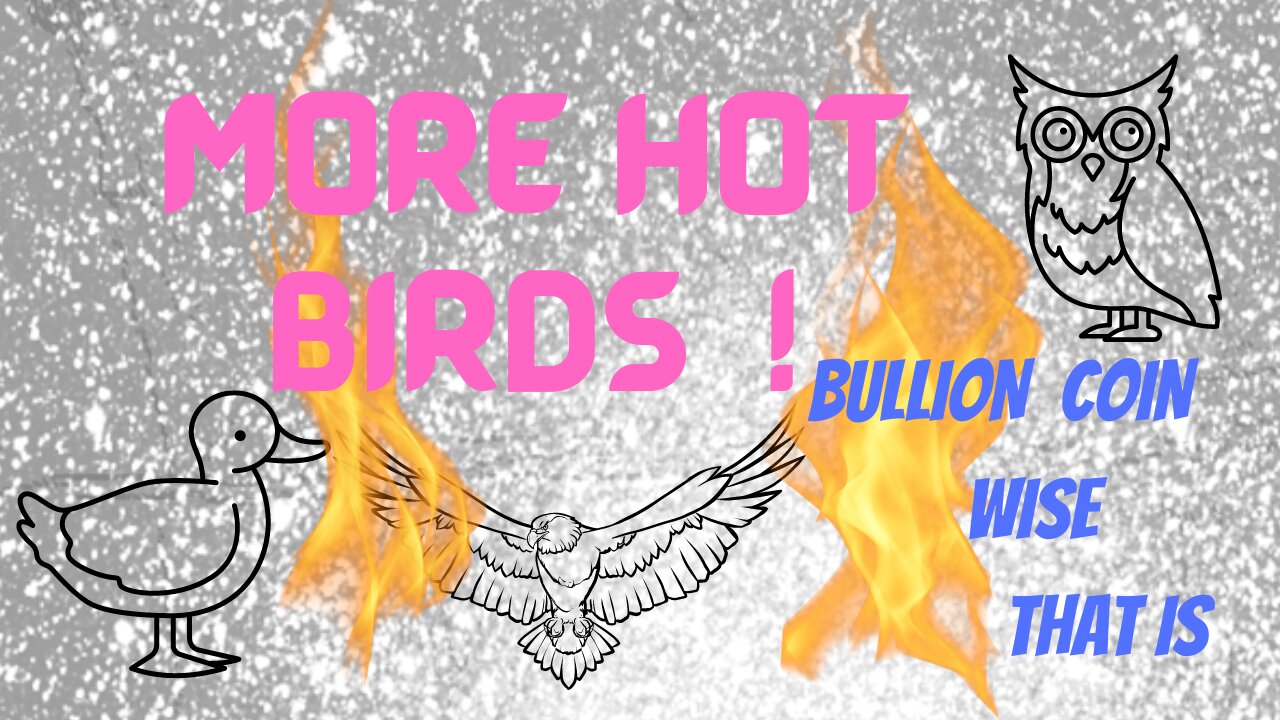 MORE hot Birds