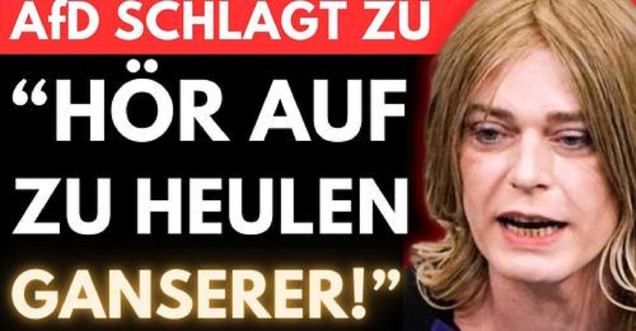 AfD KNALLT Grüne weg 🚨 Von Storch ZERPFLÜCKT GANSERER und die GRÜNE HEULEREI!