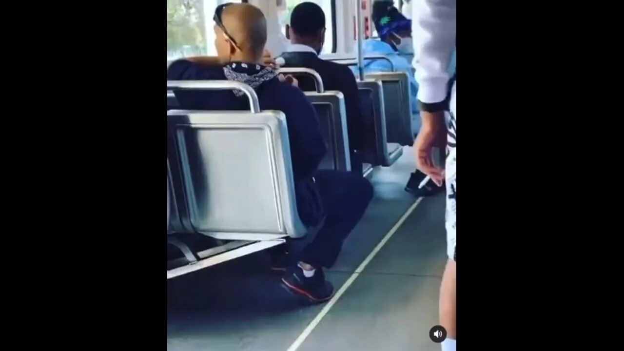 People do whatever they want on the LA metro