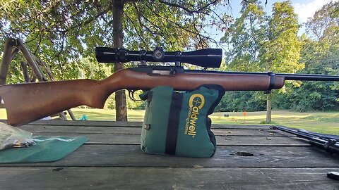 Ruger 10-22 22lr Rifle.