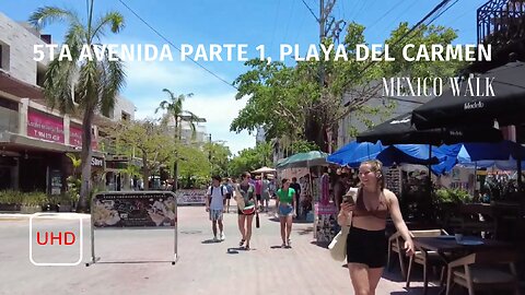 5th avenue - Playa del Carmen - Quintana Roo- HD