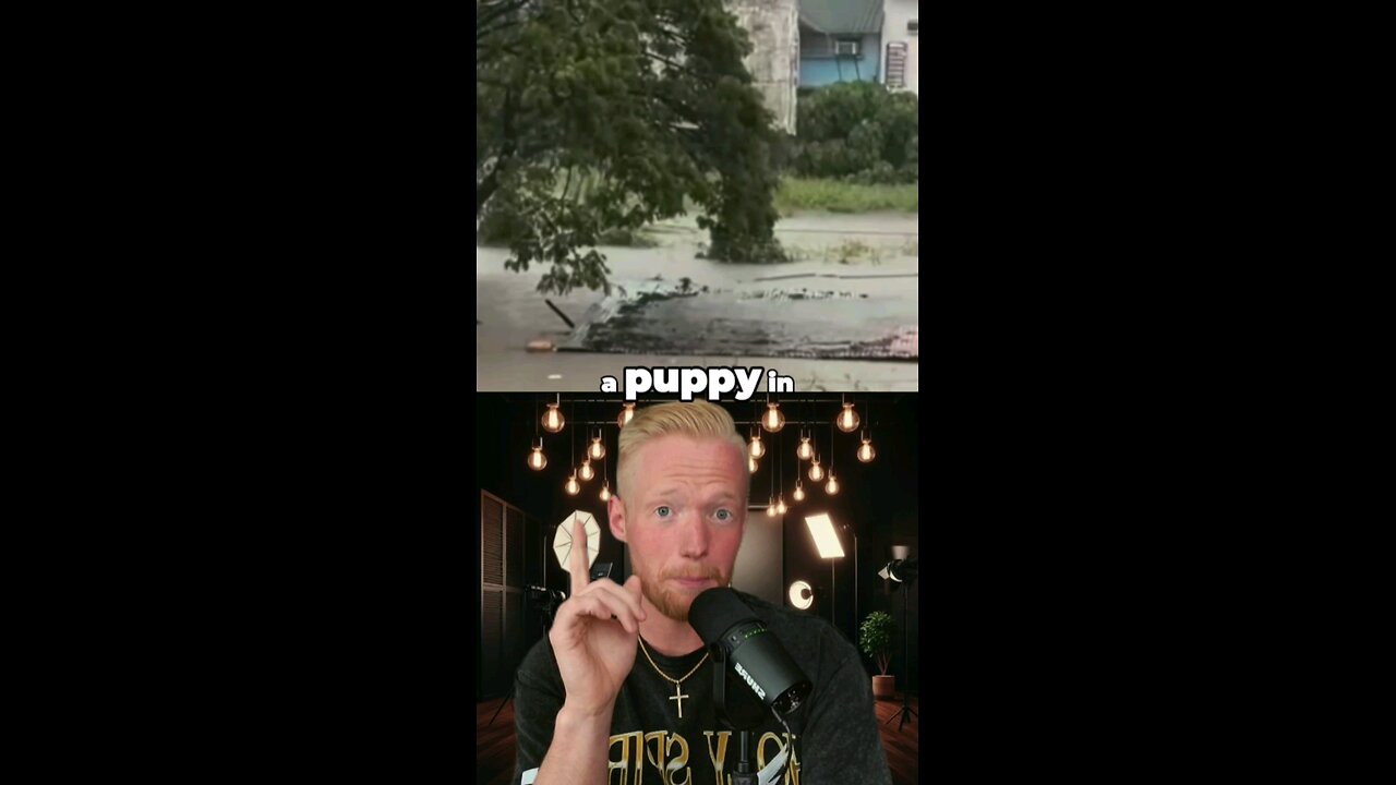 Jesus Saved This Puppy From The Hurricane🙌 #shorts
