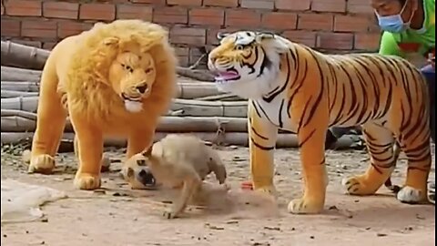 Prank Fake Lion and Fake Tiger Prank To Dog