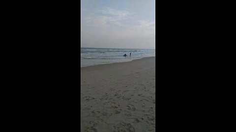 Puri Seabeach ||