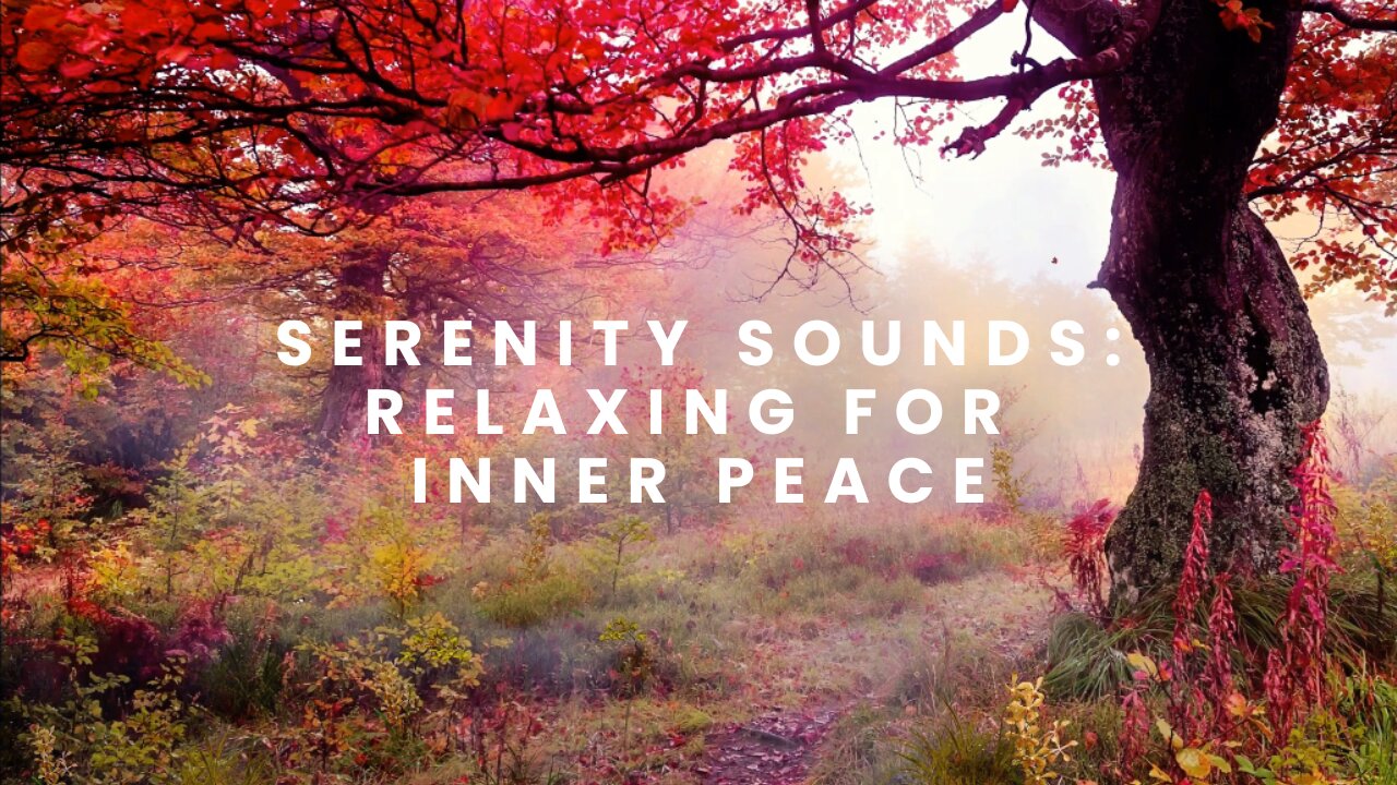 "Nature's Serenity: Meditative Journey amidst Natural Harmony"