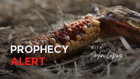 Prophetic Podcast #219: Turbulent Times And Testing, Food Shortage Crisis, Hollywood Corruption