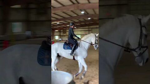 Fun in the ring