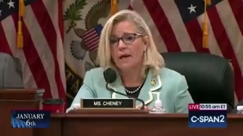 Liz Cheney says that 2000 Mules has been debunked