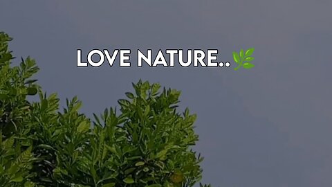 Nature HD Video