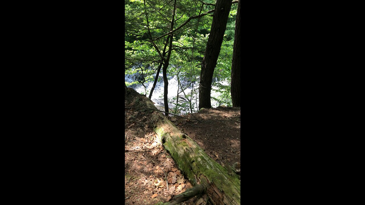 Hiking deep in the woods to a natural waterfall pool