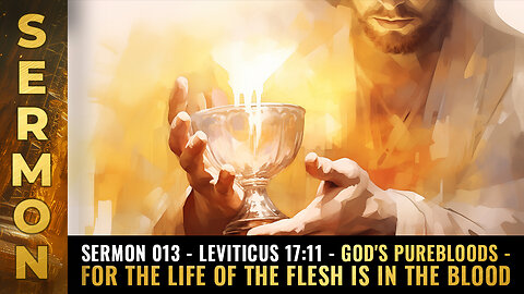 Sermon 013 - Leviticus 17:11 - God's purebloods...