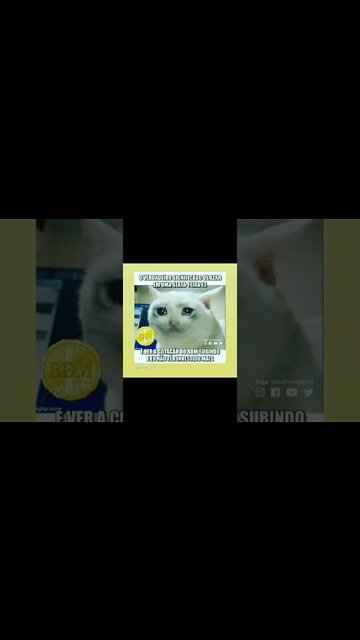 Procure pelo BDM antes que seja tarde ein....daqui a pouquinho vai ficar caro...