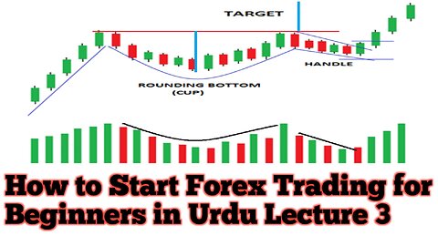 How to Start Forex Trading for Beginners L 3