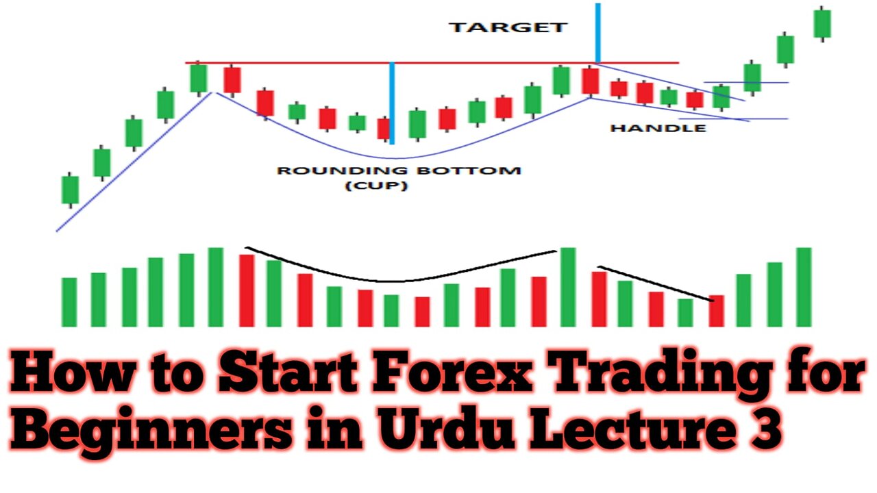 How to Start Forex Trading for Beginners L 3