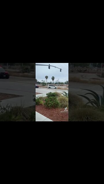 Bad Boy Dad Boy #shorts