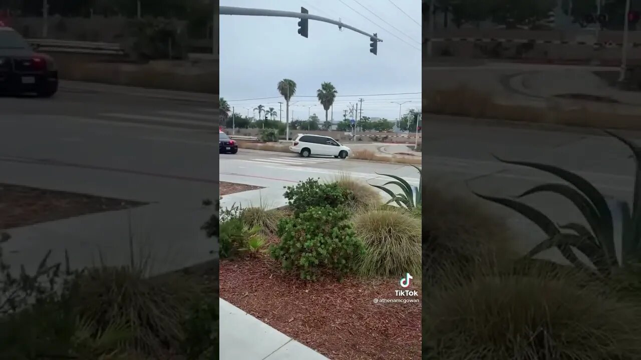 Bad Boy Dad Boy #shorts