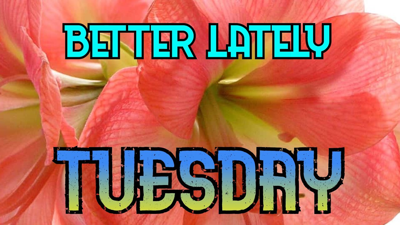 Better Lately - Tuesday