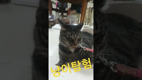 2023년 7월 13일