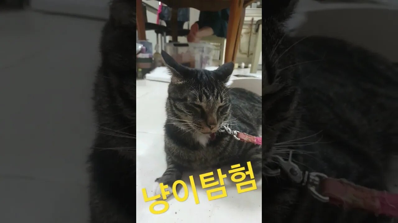 2023년 7월 13일