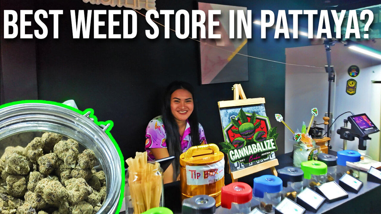 I Went Back To The Best Weed Store In Pattaya | Cannabilize Baba Soi 7 Jomtien