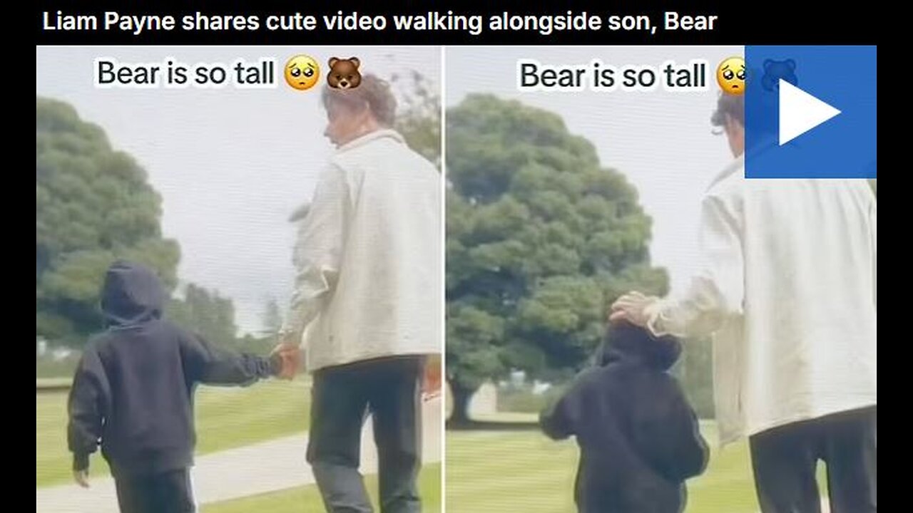 Liam Payne shares cute video walking alongside son, Bear