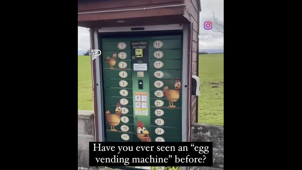 GET REAL FRESH PRODUCED FARM EGGS🏡🐓🥚AT EGG VENDING MACHINE🏠🎰🥚💸🚗💫