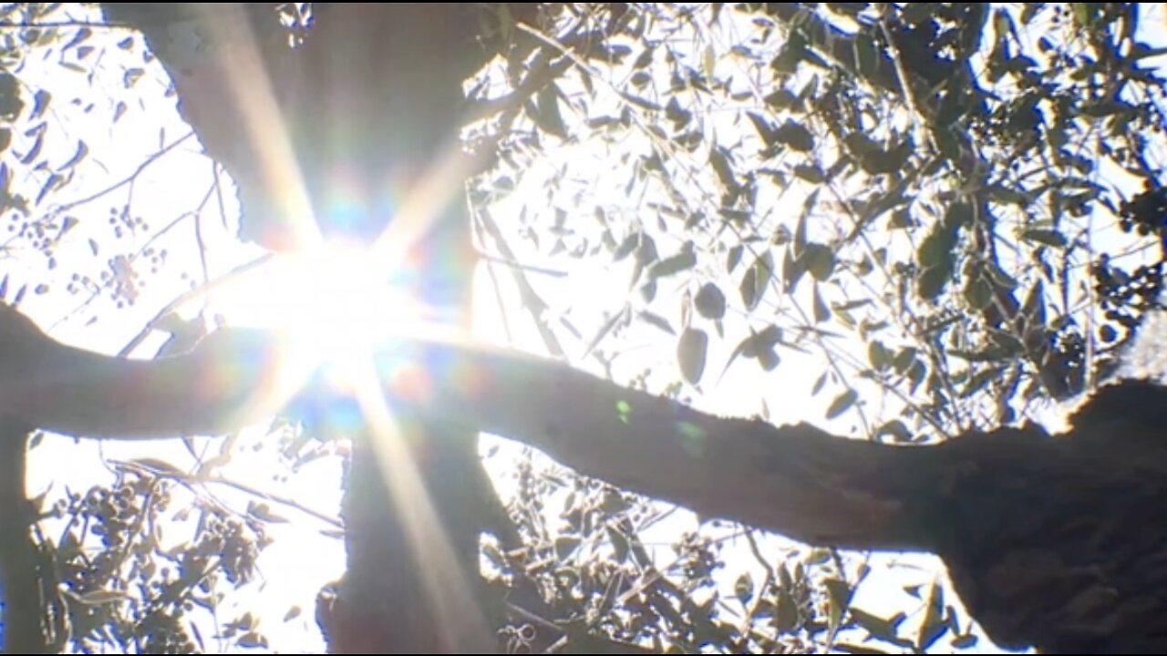 Rare winter Heat Advisory in San Diego breaks records