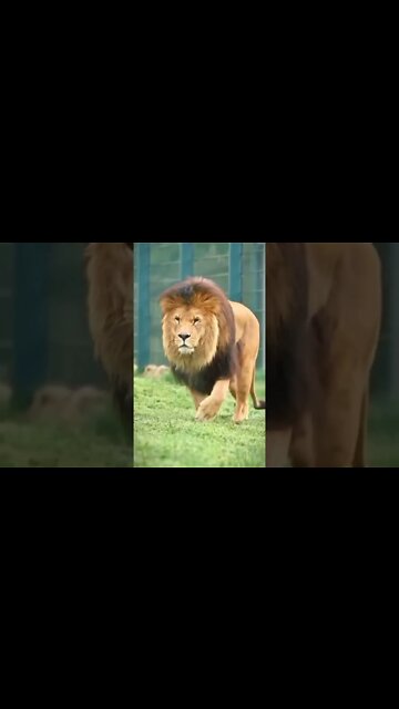 ۶ سپتامبر ۲۰۲۲