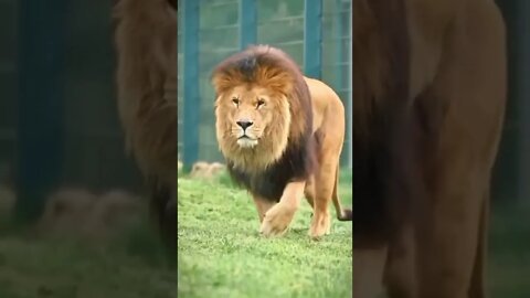 ۶ سپتامبر ۲۰۲۲