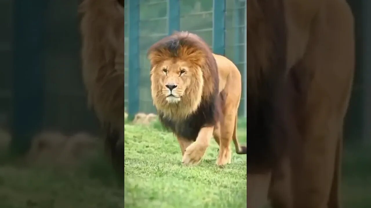 ۶ سپتامبر ۲۰۲۲