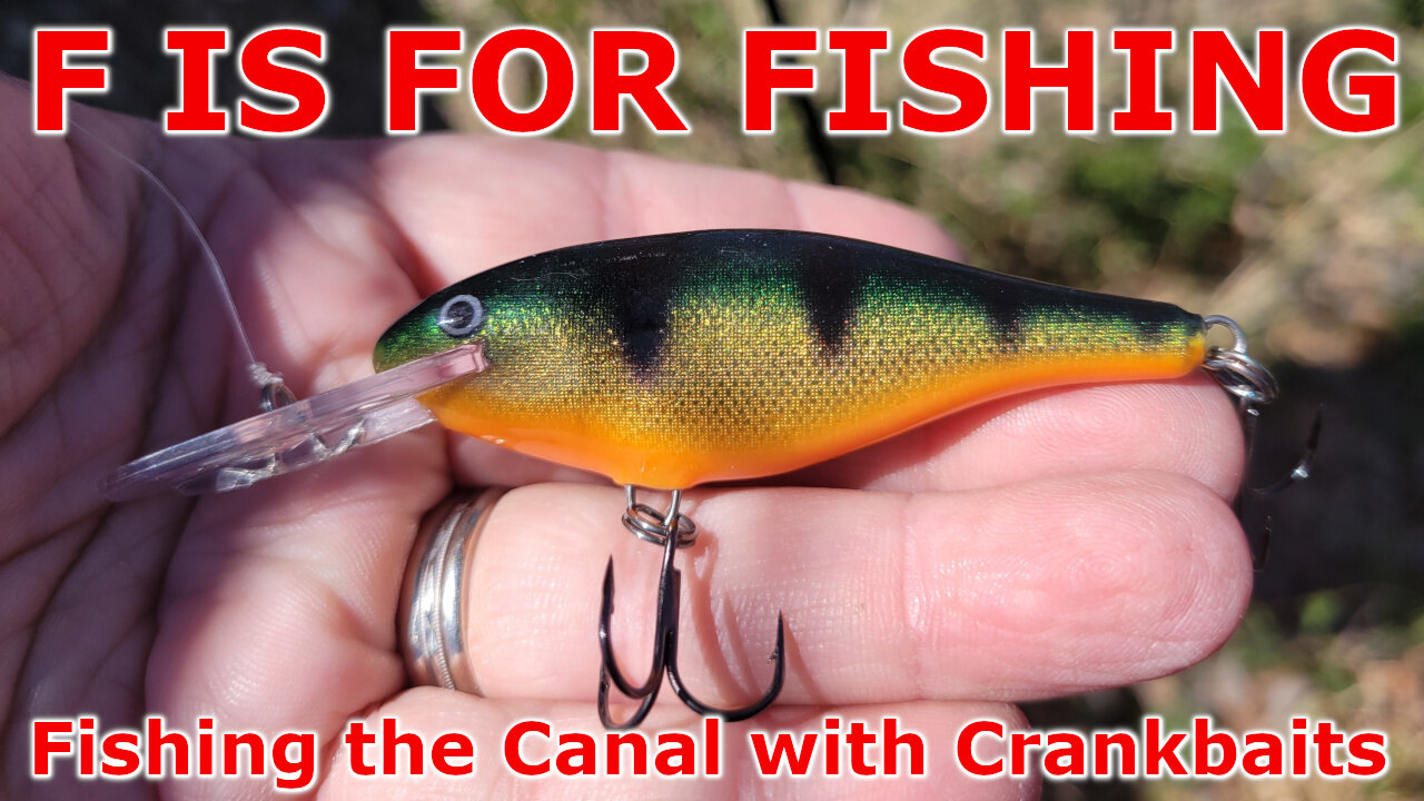 Fishing the Canal with Crankbaits