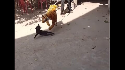 Dogs scared of fake tiger Funny Video(Part 4)😂😂