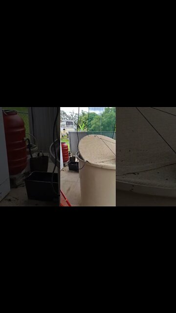 New Driveway & Aquaponics Spud Harvest this weekend. 🐟🥔🥔