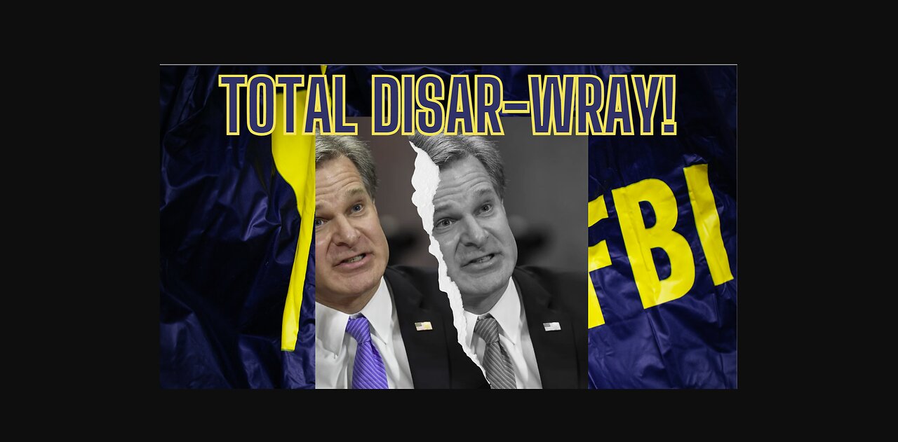 THE FBI is in total DISAR-WRAY! Hear The Testimony!