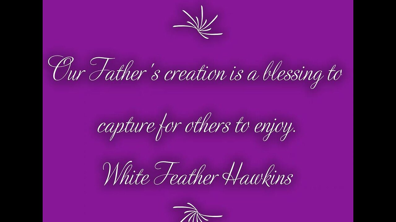 Favorite Photos by Hawkins