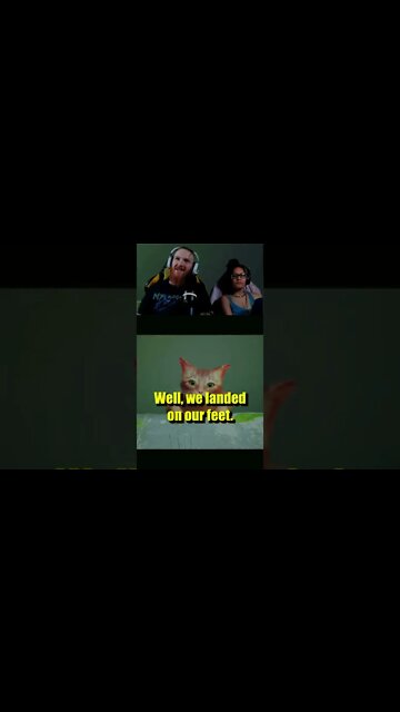 Stray - He hesitated, it's all over.