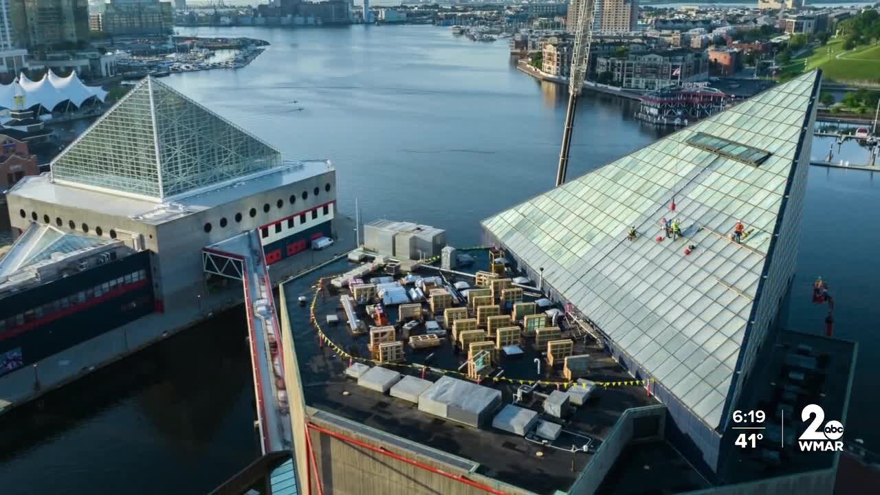 Upland tropical rain forest reopens