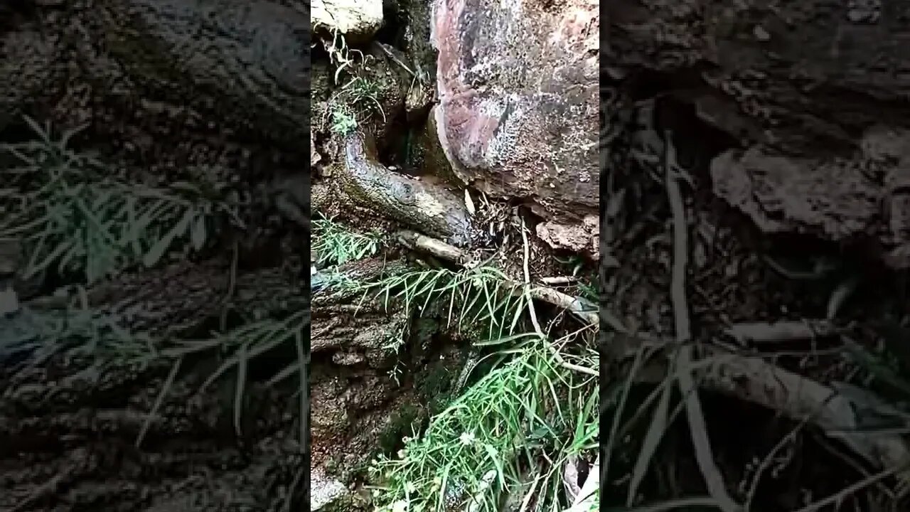 Vivid leak detected listen not to close