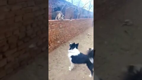😫 🤯 eita