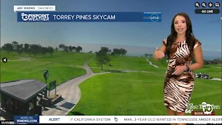 ABC 10News PinPoint Weather With Meteorologist Angelica Campos