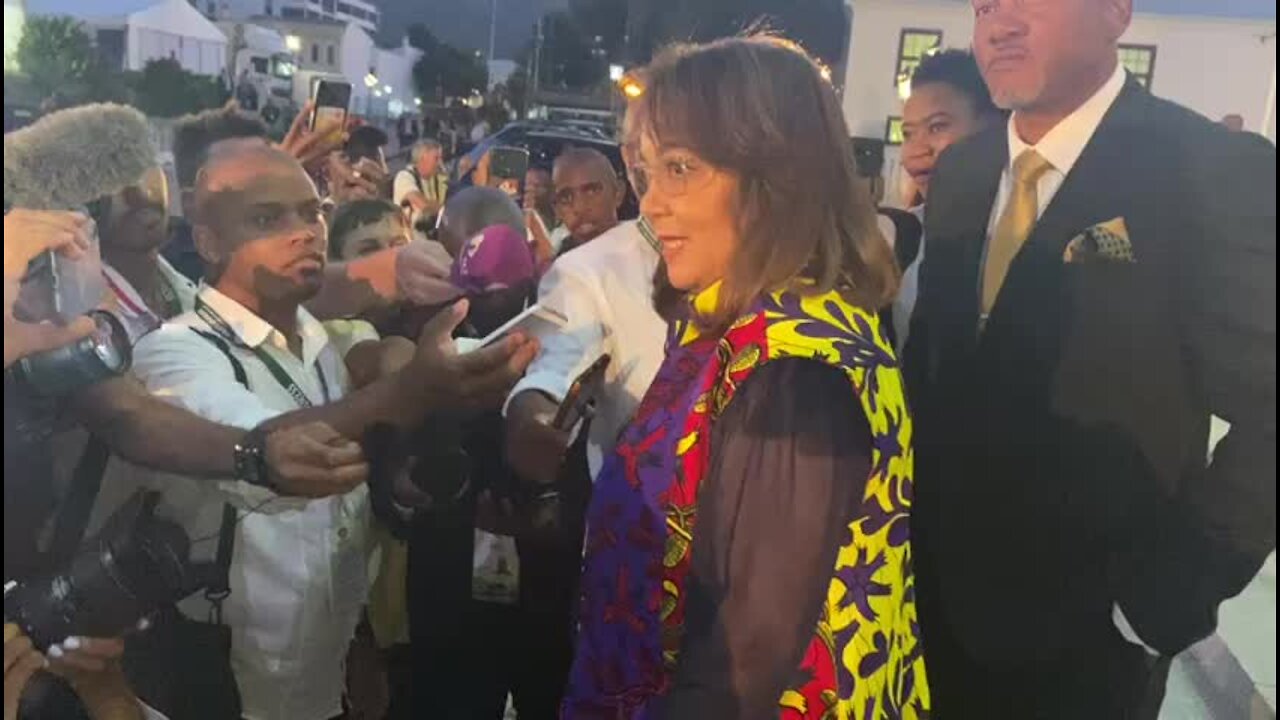 De Lille disappointed by disruption of SONA (c9T)