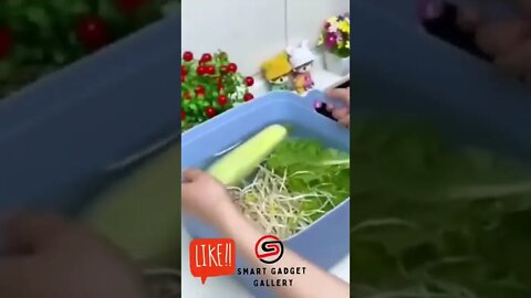 #tiktok #tiktokchina #beauty #shorts #smartgadgetgallery #trending #kitchentools #2022 #gadget_2022