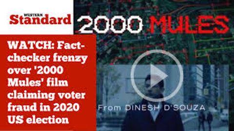 2000 Felons & Zero Justice