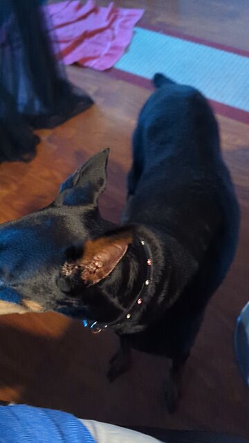 She Wants My Baked Potato