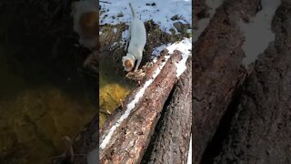 Ares maximizing the creek fun