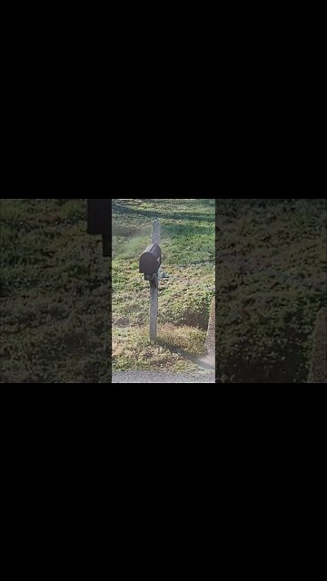 Driveway Blocked By Makeshift Chain! #MegaFails #Shorts