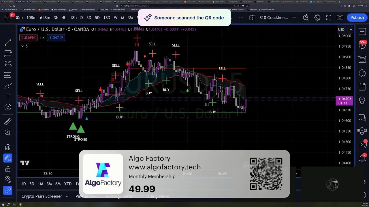 Daily Live Lab for Beginner Traders