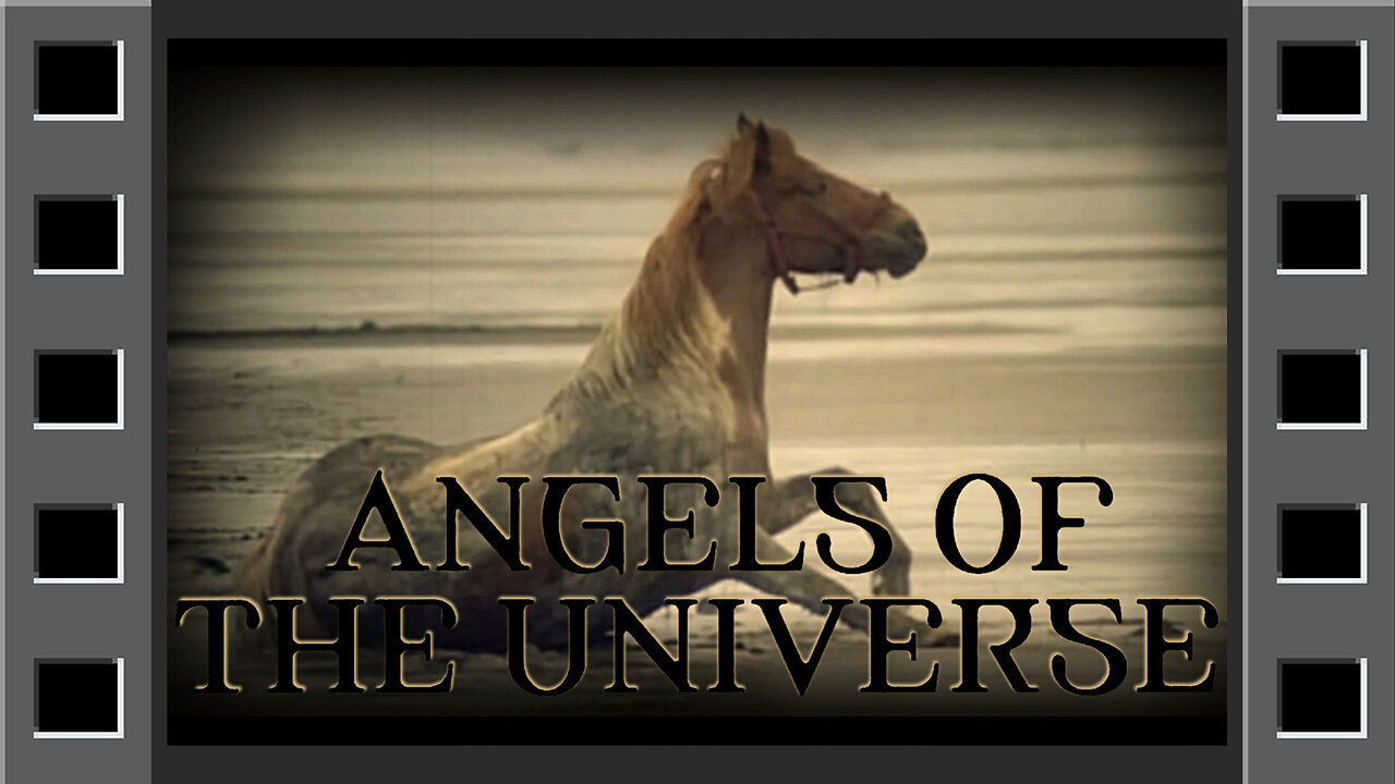 Angels of the Universe (end scene)