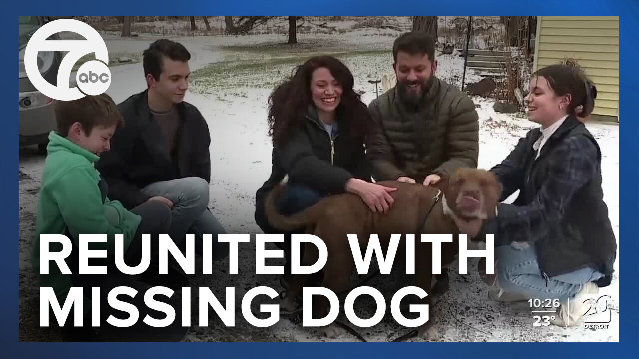 Family reunited with dog that disappeared 6 months ago & found 60 miles away