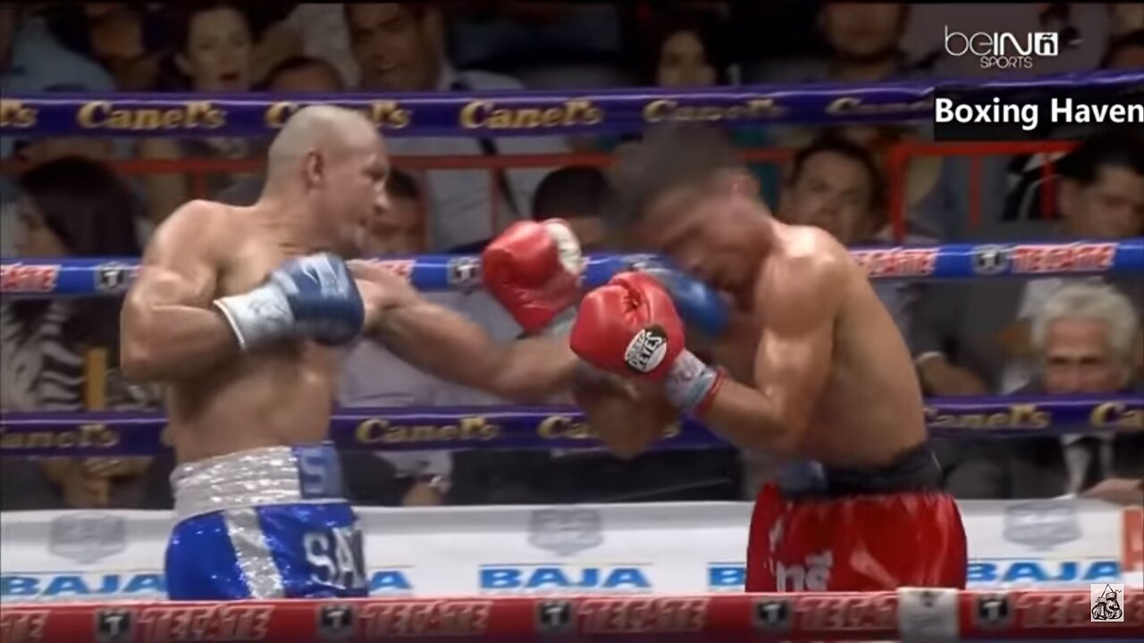 The Most Inspiring Comeback Wins in Boxing!!!